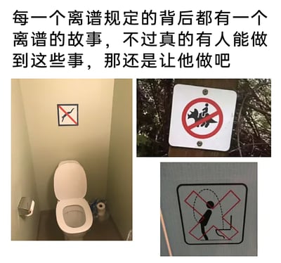 这是一张多图拼接的静态图，顶部配有文字“每一个离谱规定的背后都有一个离谱的故事，不过真的有人能做到这些事，那还是让他做吧”。图中包含三个不同的奇葩禁止标识：左侧是卫生间场景，马桶上方的墙面上贴有一个禁止像鸟类一样蹲在马桶边缘的标识；右上方是户外场景，木杆上挂着一个禁止骑乘恐龙的标识；右下方是卫生间内的标识，禁止人弯腰身体大幅度前倾趴在马桶上。这些标识的规定内容都十分荒诞离谱，配文调侃这类规定背后必然发生过真实的离谱事件，甚至戏谑如果真有人能做出这些事，那便随他去。