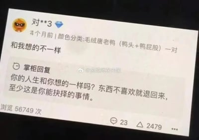 这是一张包含电商平台商品评论的截图，买家“对**3”在4个月前购买了“毛绒唐老鸭（鸭头+鸭屁股）一对”商品后，留下评论“和我想的不一样”，表达对商品不符合预期的不满；掌柜的回复极具现实感，以反问“你的人生和你想的一样吗？”切入，随后告知买家商品不满意可以退回，并强调这是买家能够自主抉择的事情，回复既回应了买家的差评，又带有扎心的现实感慨。该截图被微博用户@金城武在内蒙分享，截图显示该评论浏览量达56749次，拥有23条评论和2479次转发，引发了网友的关注与共鸣。