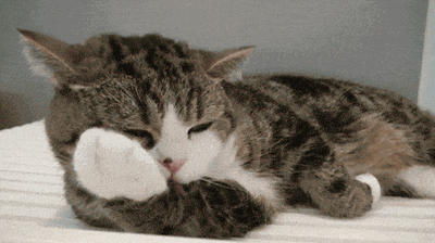 一只灰白相间的猫咪正躺在白色表面上舔舐自己的爪子，表情放松惬意。猫咪的眼睛微微眯起，粉色的舌头伸出，动作自然流畅，展现出猫咪日常清洁的可爱瞬间。