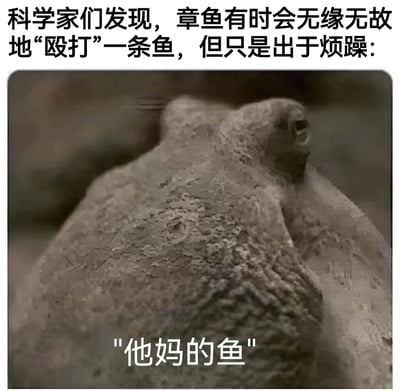 图片上方配有文字"科学家们发现，章鱼有时会无缘无故地'殴打'一条鱼，但只是出于烦躁:"，下方是一张章鱼的特写照片，章鱼表情看起来有些烦躁，图片底部配有文字"他妈的鱼"。这张图片通过将科学发现与章鱼的拟人化情绪表达相结合，创造出幽默效果。