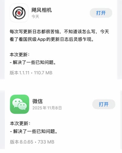 图片展示了两款App的更新日志对比。上方是“飓风相机”的更新页面，开发者自述“每次写更新日志都很苦恼”，称看了“国民级App”后灵感迸发，本次更新内容仅为“解决了一些已知问题”（版本1.1.11，大小110.7 MB）。下方是微信的更新页面，同样显示“本次更新：- 解决了一些已知问题”（版本8.0.65，大小733 MB）。通过完全一致的更新描述，幽默调侃了部分App（尤其是微信）常用“解决已知问题”这类模糊表述敷衍更新日志的现象。