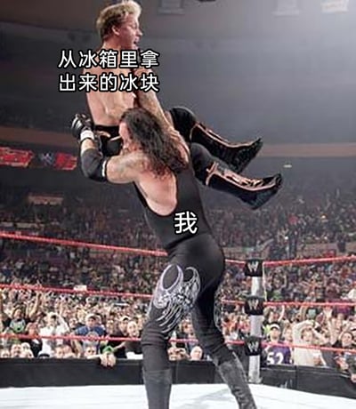 这是一张改编自WWE职业摔跤赛事画面的搞笑梗图，创作者将画面中发力扛起对手的传奇摔跤手送葬者标注为“我”，被扛起的选手标注为“从冰箱里拿出来的冰块”，借用摔跤手轻松制住对手的夸张竞技场景，幽默地调侃自己可以轻松拿起冰箱里的冰块，用反差感放大日常小事的趣味性，让普通生活场景变得诙谐生动。