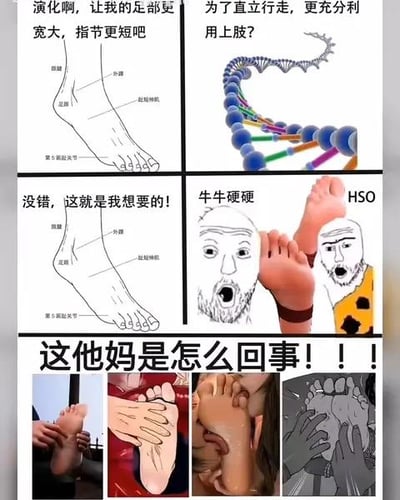 这是一张多格拼接的搞笑梗图，以足部进化为主题。上排左侧是足部解剖图，配文“演化啊，让我的足部更宽大，指节更短吧”；右侧是DNA双螺旋结构，配文“为了直立行走，更充分利用上肢？”。中排左侧是修改后的足部图，配文“没错，这就是我想要的！”；右侧是两个络腮胡人物震惊表情看着一只脚，配文“牛牛硬硬”和“HSO”。下排是四张不同足部图片的拼接，上方有大字“这他妈是怎么回事！！！”。整体风格从看似科学的演化讨论逐渐走向荒诞搞笑，通过夸张的表情和文字制造喜剧效果。