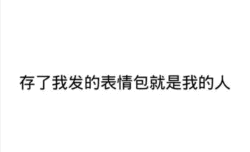 这是一张纯文字静态图，背景为白色，中央有黑色文字'存了我发的表情包就是我的人'。文字内容带有俏皮的语气，常用于社交场景中表达一种轻松的'占有欲'，暗示保存自己发送的表情包的人是与自己关系亲近的人。