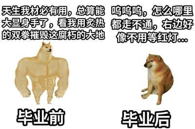 这是一张左右对比的图文梗图，左侧标注“毕业前”，是经过P图创作的拥有健硕肌肉的柴犬形象，配文充满雄心壮志，传递出毕业生在毕业前对未来的无限憧憬与自信，渴望在社会上大展拳脚；右侧标注“毕业后”，是一只眼中含泪、神态沮丧的普通柴犬，配文满是无奈，吐槽步入社会后处处碰壁的现实困境。整张图通过强烈的形象和文字对比，生动展现了当代年轻人从毕业前的意气风发到毕业后被现实打磨的巨大心态落差，精准戳中了众多毕业生的真实感受，引发广泛共鸣。