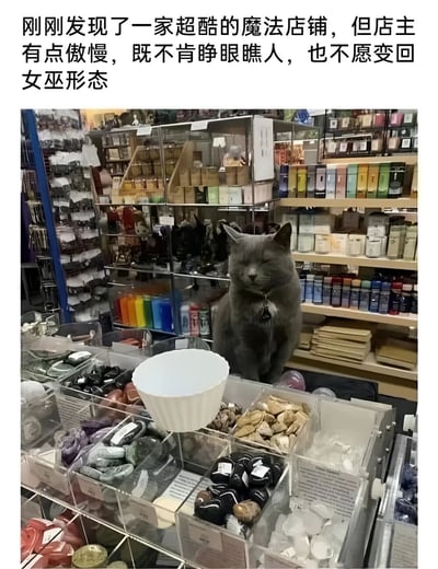 图片展示了一家充满魔法氛围的店铺内部，货架上摆满了各种瓶罐、水晶石和神秘道具。店铺中央的柜台上，一只灰色猫咪正闭眼端坐，神情傲慢。图片上方配有文字：“刚刚发现了一家超酷的魔法店铺，但是店主有点傲慢，既不肯睁眼瞧人，也不愿变回女巫形态”，通过拟人化的幽默手法，将猫咪戏称为不愿显露真身的女巫店主，营造出奇幻又有趣的氛围。