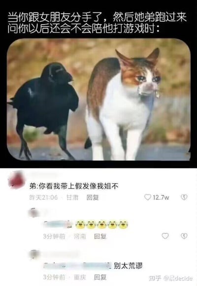 这是一张在社交平台流传的搞笑梗图，上方是经过P图改编的内容：一只满脸泪痕、神情悲伤的猫咪代表和女友分手后的“我”，旁边的乌鸦对应女友的弟弟，搭配文字“当你跟女朋友分手了，然后她弟跑过来问你以后还会不会陪他打游戏时：”，精准还原了分手时被弟弟提问的心酸又两难的情绪。下方是社交平台的评论区，最高赞评论“弟:你看我带上假发像我姐不”以离谱的脑洞打破了尴尬氛围，引发其他网友回复“别太荒谬”和一连串笑哭表情，整体内容充满反差感，搞笑又荒诞。