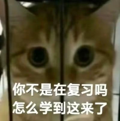 一只狸花猫将脸紧紧贴在透明玻璃上，因挤压而显得格外圆大的双眼正直勾勾地盯着前方，瞳孔漆黑深邃，仿佛在暗中监视。图片下方配有白色文字“你不是在复习吗 怎么学到这来了”，以猫咪拟人化的“质问”视角，幽默调侃那些声称正在复习却偷偷分心刷手机、逛网页的摸鱼行为，画面生动有趣，充满生活气息和调侃意味。