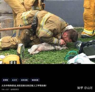 这是一张真实的救援现场照片：一名身着消防服的消防员跪在草地上，正为从火灾中救出的昏迷小狗进行人工呼吸抢救。画面里散落着带有“F1”标识的消防头盔、急救氧气管等设备，整个场景满是温情，展现了消防员对每一个生命的珍视，无论是人类还是小动物，都全力救助的暖心瞬间。