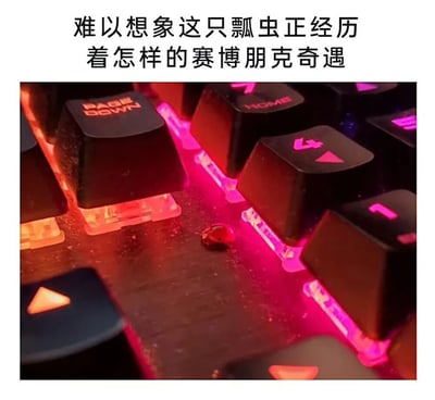 一张创意梗图，上方配有文字"难以想象这只瓢虫正经历着怎样的赛博朋克奇遇"，下方是一张特写照片：一只小小的瓢虫爬行在带有红色和紫色RGB背光的机械键盘按键之间。图片通过将微小的自然生物置于充满未来感的科技产品中，创造出强烈的视觉反差和想象力空间，幽默地暗示这只瓢虫正在经历一场微型赛博朋克冒险。
