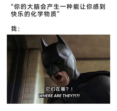 这是一张用于调侃自身难以感受到快乐情绪的二次创作梗图，采用图文混排的形式。上方配有文字“你的大脑会产生一种能让你感到快乐的化学物质”，引出话题；下方则使用《蝙蝠侠：黑暗骑士》系列电影中蝙蝠侠愤怒嘶吼的截图，标注“我：”，并在截图上添加配文“它们在哪？！WHERE ARE THEY?!?!”，通过蝙蝠侠急切、愤怒的夸张神态和动作，生动表现出当下无法感受到快乐，急切想要找到大脑中能带来快乐的化学物质的心情，精准戳中当代人时常感到情绪低落、难以获得快乐的情绪痛点，引发共鸣。