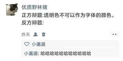 这是一张模拟聊天界面的幽默梗图。用户“优质野林猪”使用带有“尖叫”表情的猫头像，发布了辩题：正方为“透明色不可以作为字体的颜色”，而反方辩题处为空白（暗示使用了透明色字体，导致文字不可见）。下方用户“小邋遢”以连续“哈哈哈哈”评论，突出了反方辩题“隐形”的搞笑效果，通过视觉诡计制造幽默。
