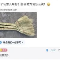 这是一张来自抖音平台的竖屏社交媒体截图，内容是一位用户发起提问：“这个玩意儿用你们那里的方言怎么说！😮”，并附上了一张两根绑在一起的炊帚（用于刷锅的清洁工具，类似小扫帚）的照片。在提问下方的评论区中，有一条评论写着“神经俩们一起聊天”，该评论获得了2.0w的点赞，和提问内容完全无关，属于跑偏的无厘头玩梗，制造出搞笑的效果，截图底部还有“数到3”的文字。