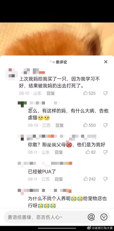 这是一段来自短视频平台的评论区截图，顶部露出一只橘色猫咪的头部，评论区围绕一起虐猫事件展开讨论：山东网友自述母亲因自己学习不好，将买给自己的猫扔出去打死；江西网友愤怒指责虐猫行为，提议起诉；原楼主却回怼网友，称父母是为自己好；江苏网友指出楼主已被PUA；还有网友惋惜为何不将猫咪送人或送去宠物店。整个对话展现出被错误亲情观裹挟的无奈，以及网友对虐猫行为的痛心与对错误亲情观的不解。
