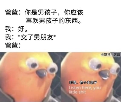 这是一张充满反转趣味的搞笑梗图，整体分为上下两个区域。上半部分是纯文字对话内容：爸爸以性别刻板印象对儿子说道“你是男孩子，你应该喜欢男孩子的东西”，儿子简洁回应“好”，紧接着标注“*交了男朋友*”，随后以“爸爸：”引出下半部分的表情包。下半部分是两张3D风格的黄色鸟类表情包，右侧的表情包配有中英文混合的文字“听着，你个小崽子 Listen here, you little shit”，鸟类角色瞪圆眼睛、张嘴呵斥，生动呈现出爸爸得知儿子曲解自己意思后的愤怒与气急败坏。该梗利用了“喜欢男孩子的东西”的语义歧义，爸爸原本指符合男性刻板印象的物品，儿子却故意曲解为喜欢男孩子，制造出强烈的反差搞笑效果，带有对性别刻板印象的调侃意味。