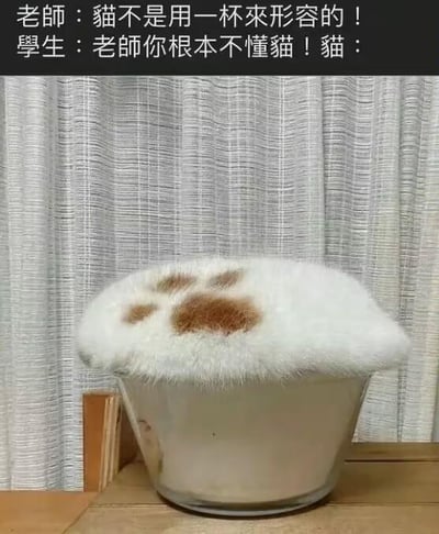 图片上方是老师与学生的趣味对话：老师认为“猫不能用一杯来形容”，学生反驳“老师你根本不懂猫”，并以图片中的场景作为证据。下方照片中，一只毛色白棕相间的猫蜷缩在透明玻璃杯中，身体完全填满杯口，从上方看宛如一杯毛茸茸的“猫饮品”，完美呼应了学生的观点，充满萌趣与幽默。