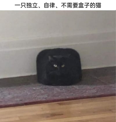 这是一张利用视觉错位效果的宠物趣味静态图，图中的黑猫蜷缩在室内墙角的台阶上，由于黑色的毛发和蜷缩成近似方形的姿势，看起来仿佛刚好嵌在一个不存在的方形盒子中。图上方配有文字“一只独立、自律、不需要盒子的猫”，结合猫咪天生喜欢钻盒子的普遍习性，制造出反差搞笑的效果，显得这只猫既可爱又充满“反差感”，黑猫眼神严肃直视镜头，让画面的趣味性更上一层。