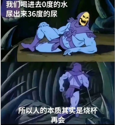 图片为上下两格的连环动画截图，主角是《宇宙的巨人希曼》中的反派骷髅王。上格中他躺坐在岩石上，配文“我们喝进去0度的水 尿出来36度的尿”；下格中他起身离开，配文“所以人的本质其实是烧杯 再会”。通过荒诞的逻辑推导制造幽默效果，将人体比作加热液体的烧杯。