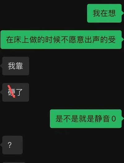 这是一张模拟聊天对话的梗图，通过绿色和灰色气泡展示对话内容。对话使用了性暗示和网络用语制造笑点，将