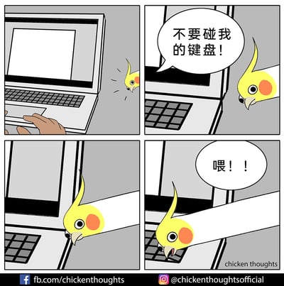这是一则四格卡通漫画，描绘了一只玄凤鹦鹉的双标日常：第一格中，主人正使用笔记本电脑，玄凤鹦鹉在一旁探出头注视着；第二格，鹦鹉对着主人大喊“不要碰我的键盘！”，表现出对键盘的强烈“占有欲”；第三格，鹦鹉主动凑近键盘，似乎准备做出动作；第四格，鹦鹉直接踩在了键盘上，主人见状大喊“喂！！”，通过鹦鹉自己不让主人碰键盘、自己却踩上去的双标行为，制造出搞笑的反差感，展现了宠物的调皮与可爱。