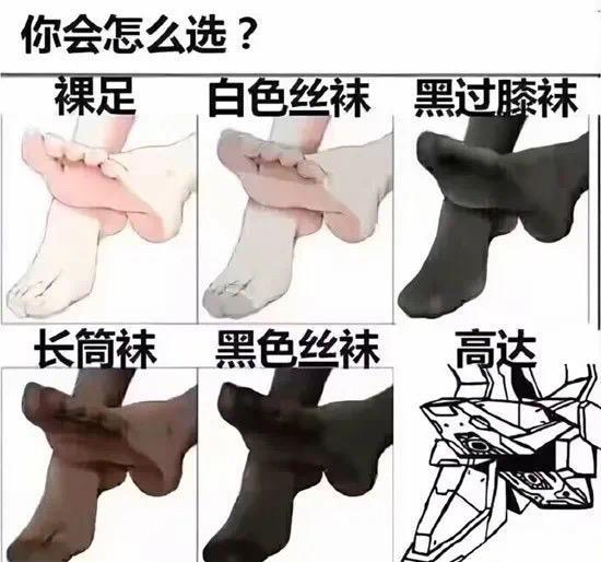 高达