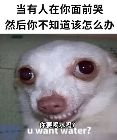 图片上方有黑色文字'当有人在你面前哭然后你不知道该怎么办'，下方是一只白色小狗的面部特写，小狗眼睛圆睁，表情显得有些尴尬和无措，嘴巴微张，下方配有文字'你要喝水吗? u want water?'。整体通过小狗的呆萌表情和不合时宜的递水提议，幽默地表现了人们在面对他人哭泣时的社交尴尬和不知所措的心理状态。