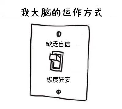 一张简单的线稿图，上方标题为“我大脑的运作方式”。中间是一个开关面板，开关上方写着“缺乏自信”，下方写着“极度狂妄”，开关处于中间位置，幽默地比喻大脑在两种极端情绪状态之间切换的运作模式。