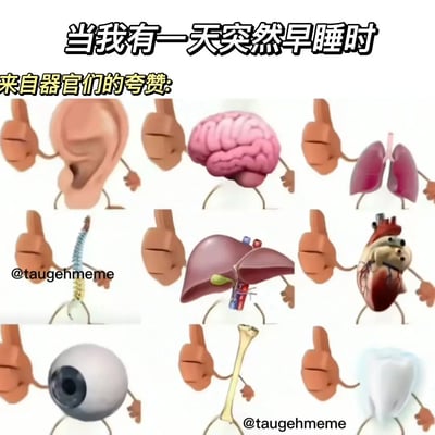 这张图片用拟人的方式幽默表现了“早睡”对健康的好处。图片上部有大字写着“当我有一天突然早睡时”，下方展示了大脑、心脏、肺、肝、牙齿等各类人体器官形象，每个器官都有两只手竖起大拇指点赞，配文为“来自器官们的夸赞”。形象表达出熬夜过后突然早睡身体器官都集体点赞的情感，充满自嘲和正能量。

没有明显谐音梗或双关，但具象拟人和夸张点赞手势表达了健康生活的幽默氛围。