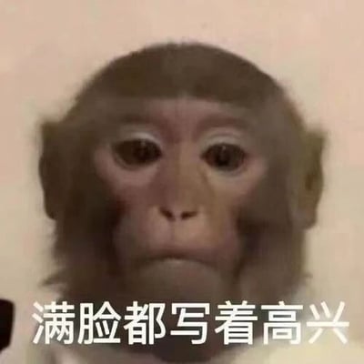 这是一张文字加注类的静态表情包，主体是一只真实拍摄的猴子，它眉头微蹙、嘴角下撇，面部表情满是低落与沮丧，图片下方配有白色文字“满脸都写着高兴”，采用反讽的表现手法，通过表情与文字的强烈反差，精准传达出人物实际上心情糟糕、毫无喜悦的情绪，常被用于社交媒体聊天中，调侃自己或他人处于不情愿、低落的处境，用幽默的方式抒发负面情绪。