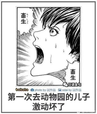 这是一张顶配底文的黑白漫画梗图，上方是一幅漫画，画中人物眼眶含泪、嘴巴大张，呈现出极度激动的状态，人物的左右两侧都标注了文字“畜生”；下方配有中文文字“第一次去动物园的儿子激动坏了”。该图运用了双关梗，“畜生”在中文语境中常作为骂人的脏话，但动物园里的动物也可被调侃性地用这个词指代，儿子因看到动物过于激动而喊出这个词，形成了反差感，制造出搞笑的效果。