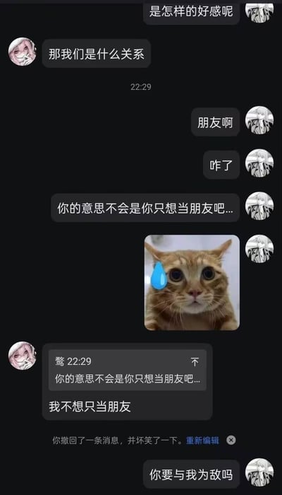 这是一段充满反差感的搞笑聊天记录截图：暧昧中的粉头像用户主动询问两人关系，灰头像用户先下意识答“朋友啊”，随后瞬间慌张，连发消息确认还配上了经典的流汗橘猫表情包，甚至撤回了消息；结果粉头像用户直接告白“我不想只当朋友”，原本的慌张告白现场被灰头像用户最后一句“你要与我为敌吗”彻底整活，把浪漫告白瞬间变成搞笑“友尽”名场面，充满笑点。