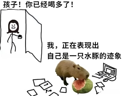 这是一张幽默梗图，左侧是一个愤怒的简笔画人物（可能是家长）指着说话，配文“孩子！你已经喝多了！”；右侧是一只正在吃西瓜的水豚照片，配文“我，正在表现出自己是一只水豚的迹象”。图片通过家长的担忧与孩子荒诞的回应形成幽默对比，水豚周围还有一些电脑设备的简笔画。