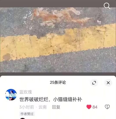 这是一张社交媒体平台的截图，画面上方是路面的黄色标线，标线的裂纹与上方的污渍组合形成了视觉错觉，看起来酷似一只趴着的小猫。下方评论区中，用户「蓝玫瑰」留下评论「世界破破烂烂，小猫缝缝补补」，用温暖的文案呼应了图中「破破烂烂」的路面和形似小猫的纹路，形成了治愈的反差感，引发共鸣。