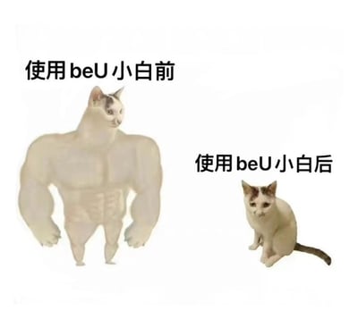 图片为左右对比结构，左侧是一只拥有夸张肌肉线条（发达胸肌、肱二头肌和清晰腹肌）的猫咪，头部为真实猫咪样貌，身体被P成类似健美运动员的强壮形态，上方配有文字“使用beU小白前”；右侧是同一只猫咪（面部特征一致），呈现正常的小巧体型，乖巧地坐着，上方文字为“使用beU小白后”。通过强烈的视觉反差制造幽默效果，暗示使用“beU小白”后发生了从“强壮”到“弱小”的转变。