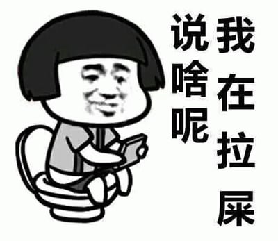 该图为黑白卡通风格，描绘了一个留着齐耳短发的卡通人物正坐在马桶上，双手拿着手机，脸上带着略显尴尬的微笑。人物右侧有竖排黑色文字：“我在拉屎 说啥呢”，整体场景幽默地展现了一个人在使用厕所时被打扰、查看手机的日常情景，通过直白的文字和轻松的画面表达出一种无奈又好笑的情绪。