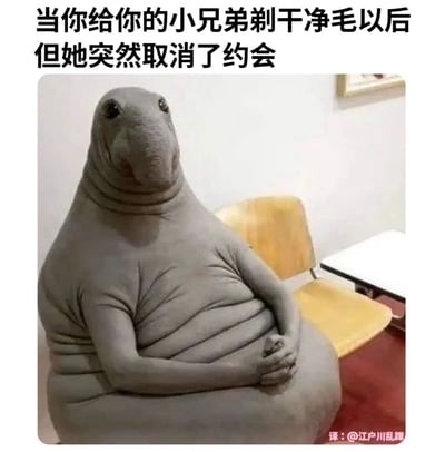 这是一张充满调侃意味的搞笑梗图，图中是一位穿戴海牛（儒艮）造型连体衣的人，他双手交叠放在腹部，端坐着，神态失落又无奈，眼神放空，仿佛满是憋屈。图上方配有文字“当你给你的小兄弟剃干净毛以后但她突然取消了约会”，这里运用了双关梗，“小兄弟”指代男性私密部位，剃毛是为约会做的私密准备，以此来表现男性为约会精心做了私密准备后，却被对方临时取消约会的失落、尴尬又无处诉说的情绪，用拟人化的臃肿海牛形象放大了这种无奈又憋屈的感觉，十分贴合当下年轻人调侃约会窘境的语境。