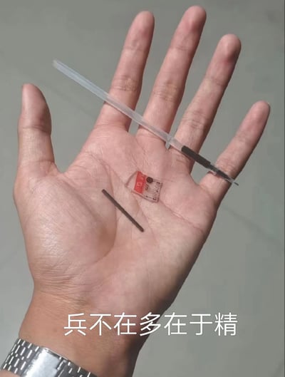 图片展示一只佩戴银色手表的左手手掌，掌心放置三件小物件：一根透明塑料棒、一个红色与白色相间的小型矩形物体（疑似CR型号电池）、一根细金属杆。背景为浅灰色平面。图片底部有白色文字“兵不在多在于精”，通过手掌中的少量小物件与这句中文俗语呼应，强调“质量胜于数量”的理念。