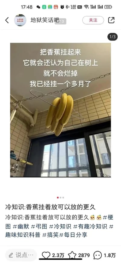 这是一张社交媒体截图，来自名为“地狱笑话吧”的账号。截图中展示了一张实物照片：一串香蕉通过衣架和链条悬挂在天花板上，背景是瓷砖墙面和窗户。照片上方有白色文字覆盖，内容幽默地声称“把香蕉挂起来，它就会还认为自己在树上，就不会烂掉，我已经挂一个多月了”。照片下方配有重复的“冷知识：香蕉挂着放可以放的更久”文字及多个相关话题标签，整体风格偏向生活技巧分享与幽默调侃。