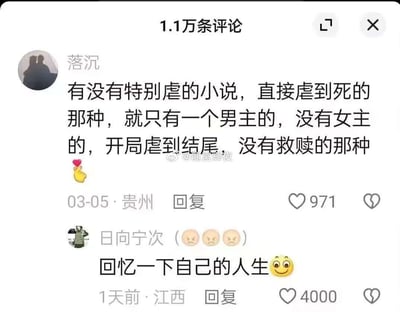 社交媒体评论区截图，用户“落沉”提问寻求“特别虐的小说”，要求仅一个男主、无女主、全程虐心且无救赎。下方用户“日向宁次”以“回忆一下自己的人生😉”进行幽默自嘲式回复，形成搞笑互动，评论区已有1.1万条评论，点赞数分别为971和4000。
