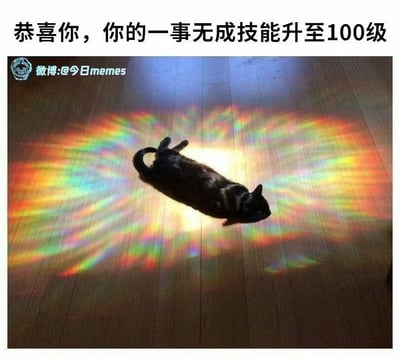 一张幽默梗图，画面中央是一只黑猫躺在木地板上，周围环绕着彩虹色的光芒，仿佛拥有了神圣光环。图片上方配有文字'恭喜你，你的一事无成技能升至100级'，用夸张的方式幽默地调侃人们有时无所事事的状态。