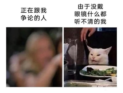 整张图为左右对比结构的搞笑表情包，左侧上方配文“正在跟我争论的人”，对应一张模糊处理的人物图像，人物看起来情绪激动、正在说话；右侧上方配文“由于没戴眼镜什么都听不清的我”，对应一张坐在餐桌前的白色猫咪图像，猫咪表情茫然冷漠，仿佛完全没听懂对方的内容，用夸张的反差感诙谐展现了近视人群没戴眼镜时对外界信息接收迟钝、搞不清状况的状态，也可用来表达不想理会他人争执的敷衍心态。