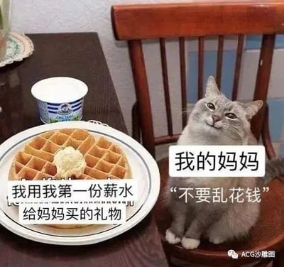 这张梗图分为左右两部分，左侧是一盘搭配奶油的华夫饼餐点，配文“我用我第一份薪水给妈妈买的礼物”；右侧是一只坐在木质椅子上、仰头露出软萌乖巧神态的猫咪，配文“我的妈妈‘不要乱花钱’”。图中用猫咪的神态和文字，生动还原了很多人用第一份薪水给妈妈购置礼物时，妈妈嘴上说着不要浪费钱，实际内心满是欣慰的真实家庭场景，既温馨又充满搞笑感。