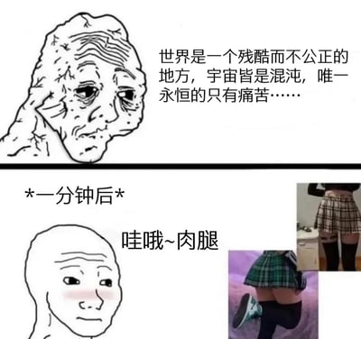 这是一张上下对比的双格梗图。上半部分是一个表情悲伤、皱纹满面的抽象人物头像，配文'世界是一个残酷而不公正的地方，宇宙皆是混沌，唯一永恒的只有痛苦……'，展现出深沉的哲学悲观主义。下半部分则是一个表情兴奋的光头人物，配文'*一分钟后* 哇哦~肉腿'，旁边还配有两张女性穿着短裙和长筒袜的腿部照片，形成了从深刻哲学思考到肤浅身体欲望的戏剧性反差，制造出幽默效果。