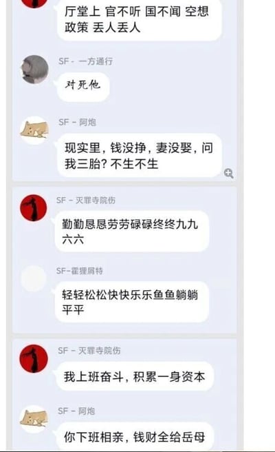 这是一张社交平台群聊的聊天记录截图，群内成员以直白的语言吐槽当代年轻人面临的多重压力：首先有成员不满脱离实际的空想政策，随后其他成员纷纷跟进，表达了在经济条件不足的情况下抗拒生育三胎的态度，还对比了“996式勤恳工作”与“躺平度日”两种不同的职场心态，最后以“上班奋斗积累的资本最终流向相亲彩礼”的调侃，道出了当代年轻人在工作、婚恋、生育等多个方面的无奈与焦虑，内容真实反映了部分青年的生活困境与情绪。