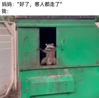 这是一张精准戳中社恐人群心态的搞笑梗图，图上方设置了家庭场景的对话：妈妈告知“好了，客人都走了”，下方的画面是一只浣熊双手扒着绿色柜子的柜门，从柜子内部探出身躯，这个画面完美对应了那些在家庭有客人来访时，因社恐或不愿社交而躲起来的人，在客人离开后终于敢出来的状态，生动又幽默地展现了社恐人群在这类场景下的真实反应，容易引发同类人群的共鸣。