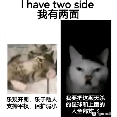 这是一张采用左右对比形式的meme梗图，顶部标题为“我有两面”。左侧呈现一只趴卧着、看起来放松温和的猫咪，搭配文字描述其“乐观开朗，乐于助人，支持平权，保护弱小”的正面形象；右侧是一只表情凶狠愤怒的猫咪，配文为充满极端负面情绪的“我要把这颗天杀的星球和上面的人全部炸飞”。通过强烈的情绪与形象反差，精准刻画出当代人在对外展现友善积极的社交形象时，内心却积压着极端负面情绪的精神状态，容易引发网友的情绪共鸣。