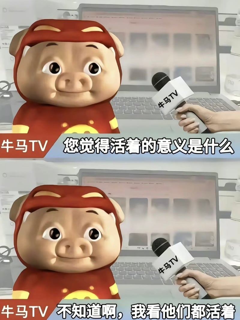 猪猪侠