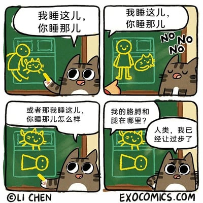这是一幅四格漫画，描绘了一只条纹猫在黑板上用粉笔画图，与人类讨论睡眠位置的幽默场景。第一格中，猫咪兴奋地指着黑板上的简笔画说“我睡这儿，你睡那儿”；第二格猫咪换了种画法重复同样的话，旁边出现“NO NO NO”的拒绝标识；第三格猫咪又提出新方案：“或者那我睡这儿，你睡那儿怎么样”；第四格中人类质疑“我的胳膊和腿在哪里？”，猫咪则坚持“人类，我已经让步了”。整幅漫画通过猫咪霸道又可爱的态度，展现了宠物与主人之间有趣的互动。