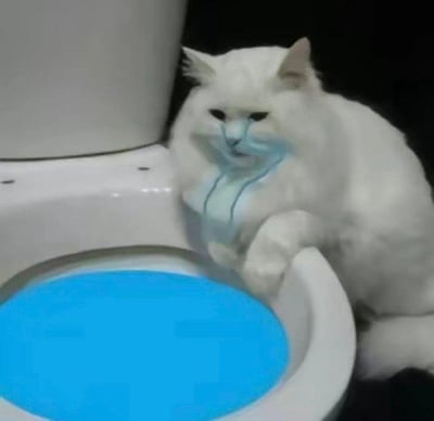 一只白色的猫咪蹲坐在马桶旁边，马桶内装有蓝色的水。猫咪脸上被添加了两行蓝色的眼泪，表情看起来十分悲伤，仿佛遇到了什么难过的事情。整体画面带有幽默又略带心疼的感觉，可能用于表达生活中的小委屈或无奈情绪。