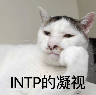 一只白猫侧躺著，用爪子轻托脸颊，眼神半眯，流露出若有所思的神情。图片下方配有文字「INTP的凝视」，将猫咪的沉思姿态与MBTI人格类型中以理性、好奇著称的INTP特质相联系，形成幽默的人格梗图。